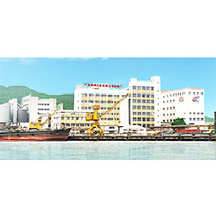 廣東新糧實業有限公司